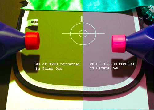 JPEG CRAW v P1.jpg