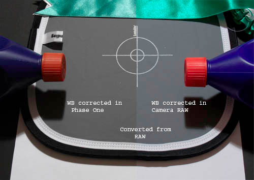 RAW CRAW v P1.jpg