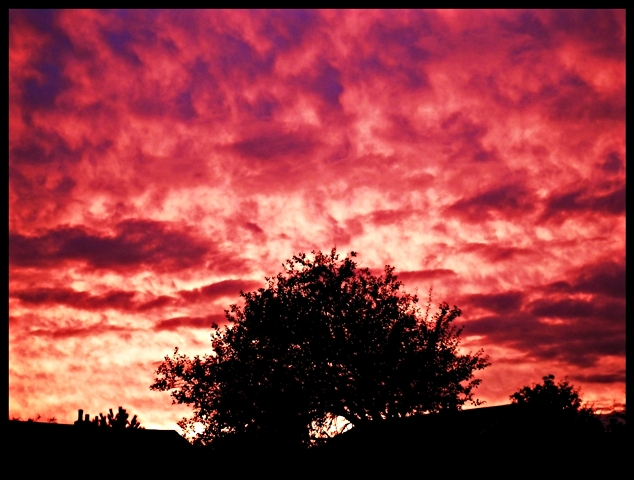 DSCF4543.JPG
