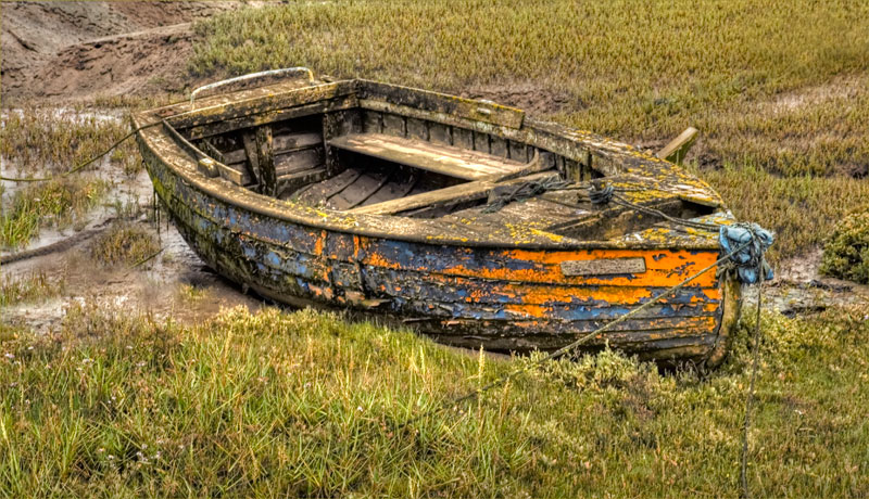Left-to-Rot_.jpg