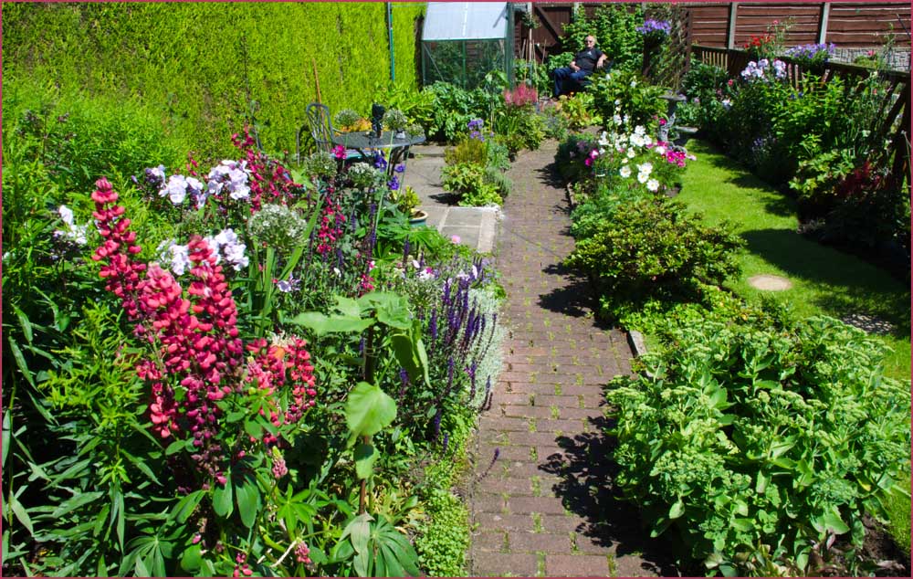 My Garden 3.jpg