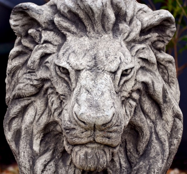 20111220_4 - Copy.JPG