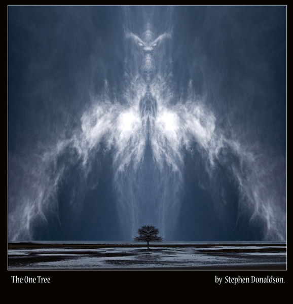 The One Tree.jpg