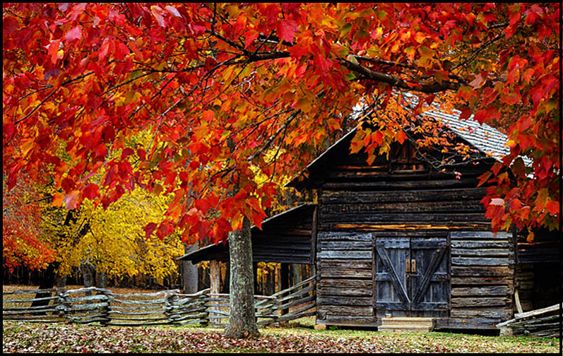 Fall Tennessee copy.JPG