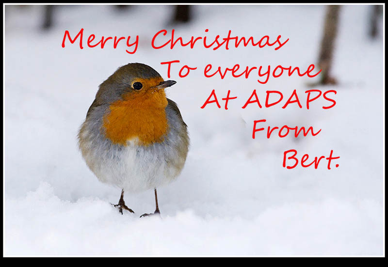 MERRY CHRISTMAS ADAPS.JPG