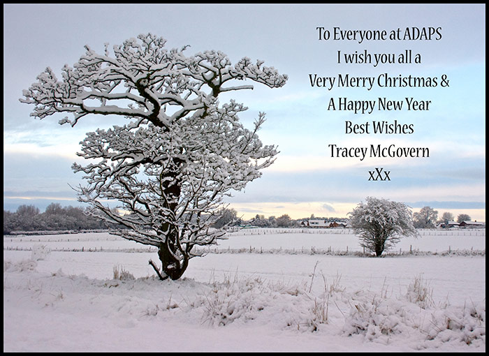 Merry-Xmas-ADAPS-2012.jpg