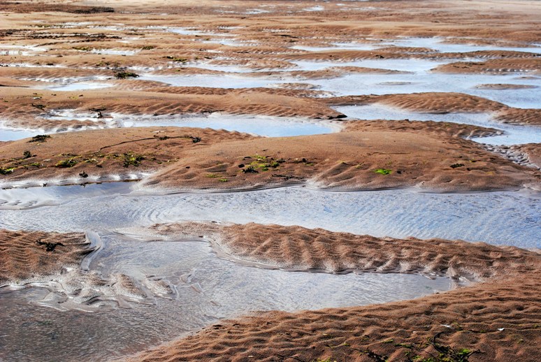 Wets Sands.jpg