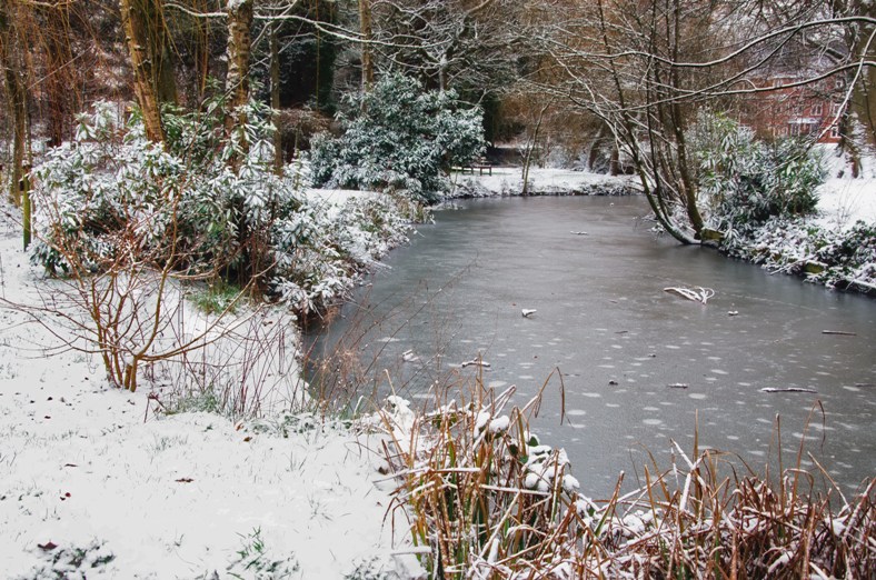 On Frozen Pond.jpg