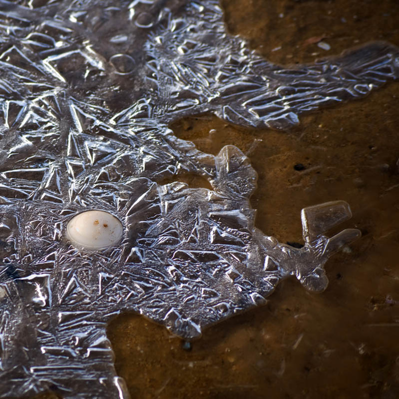 DSC_3513B.jpg