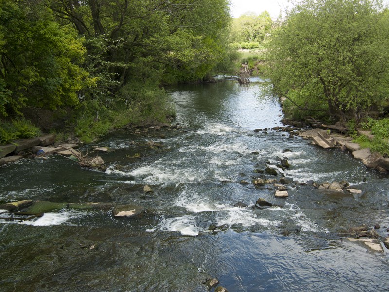 River Douglas.JPG