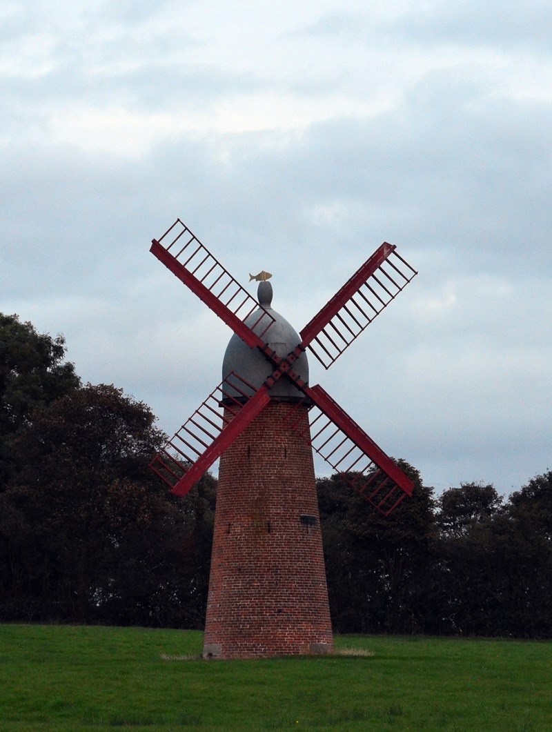 DSC_39899999999999999999992.JPG