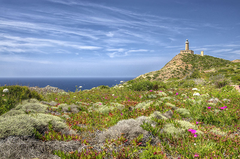 20140531_334_tonemapped copy.jpg