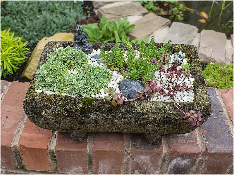 sink-garden.jpg