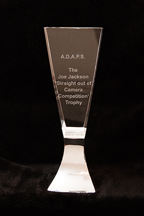The Joe Jackson Trophy
