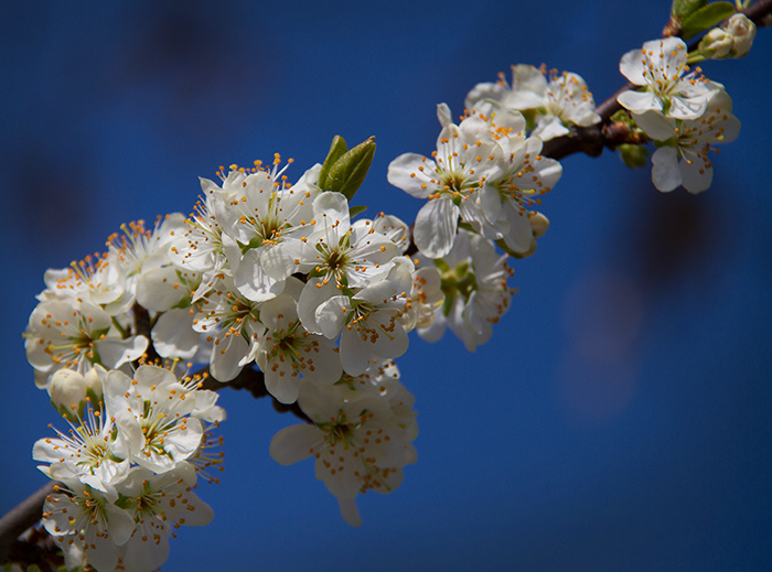 IMG_1429-Edited-23.3.15-web.jpg