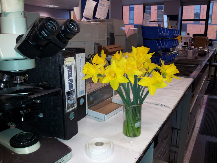 spring to work.jpg
