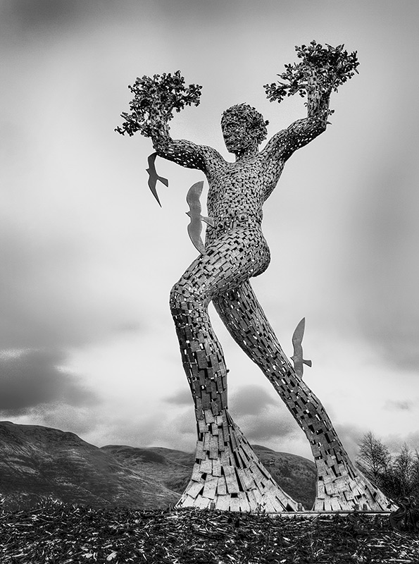 IMG_7203-v3-B&W-Web.jpg