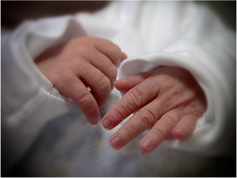 THE LITTLE HANDS OF THE FUTURE FORUM.jpg