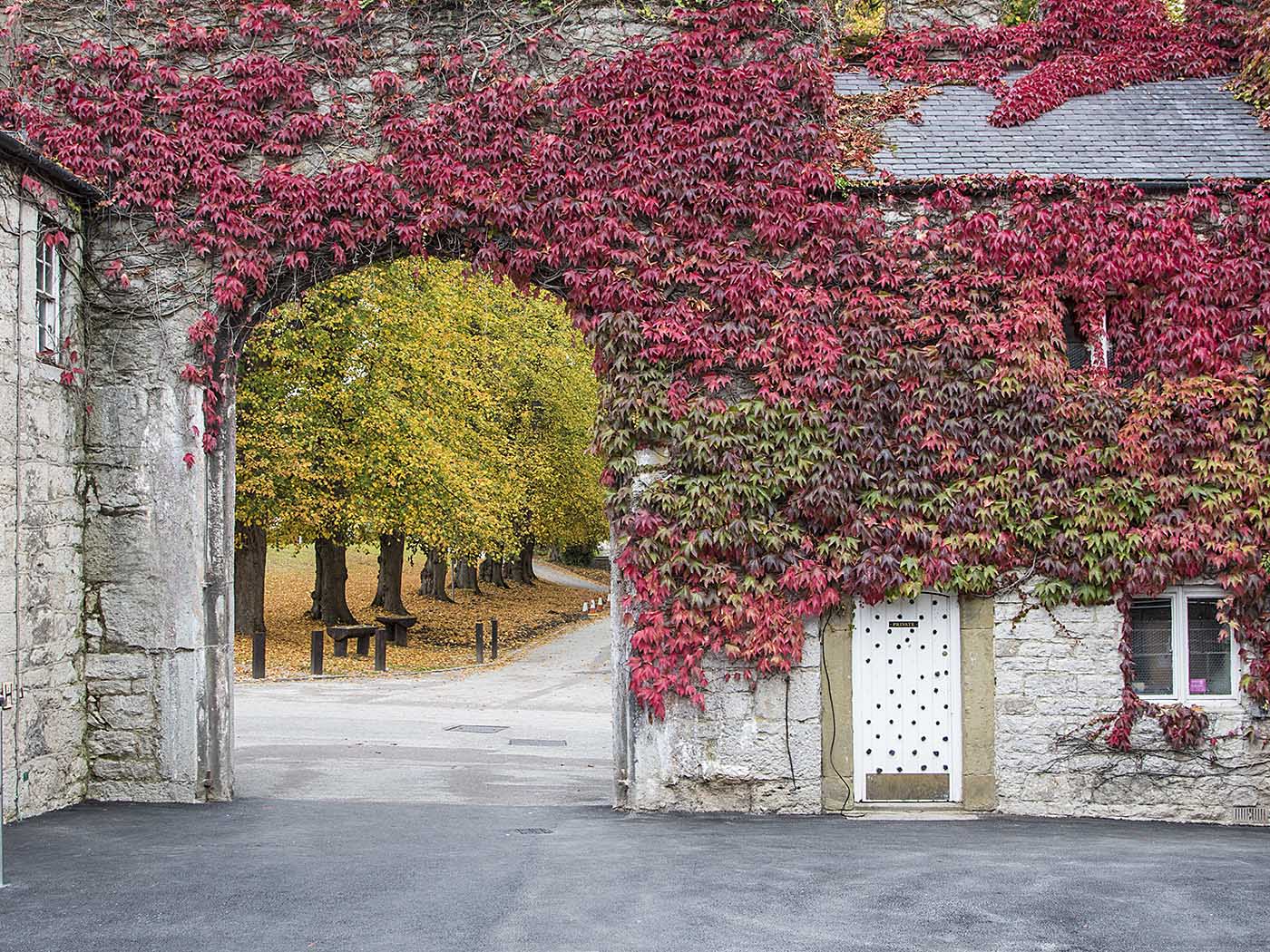 Bodelwyddan Autumn.jpg