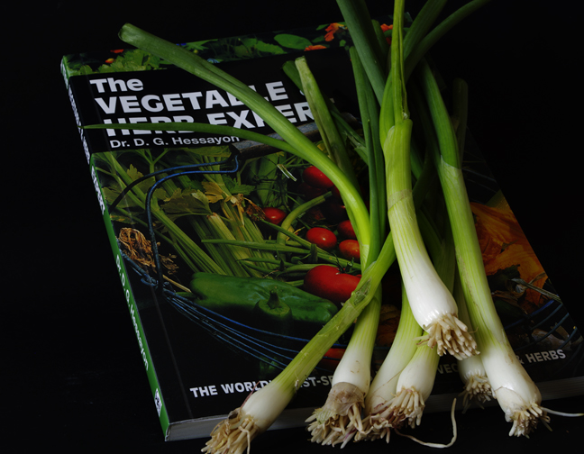 Spring Onions1.jpg