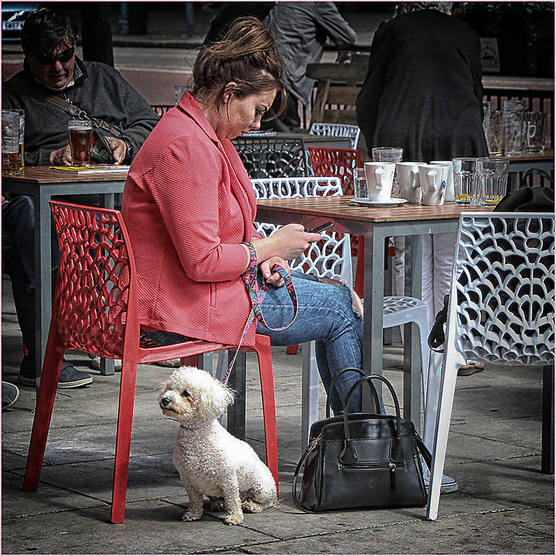 THE IGNORED POOCH.jpg