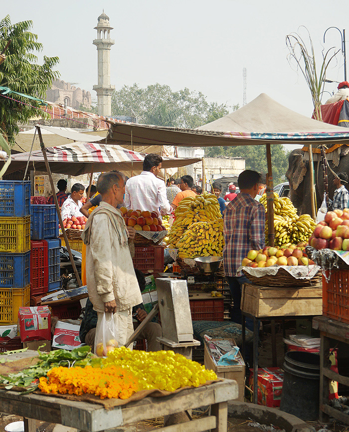 India market resized.jpg