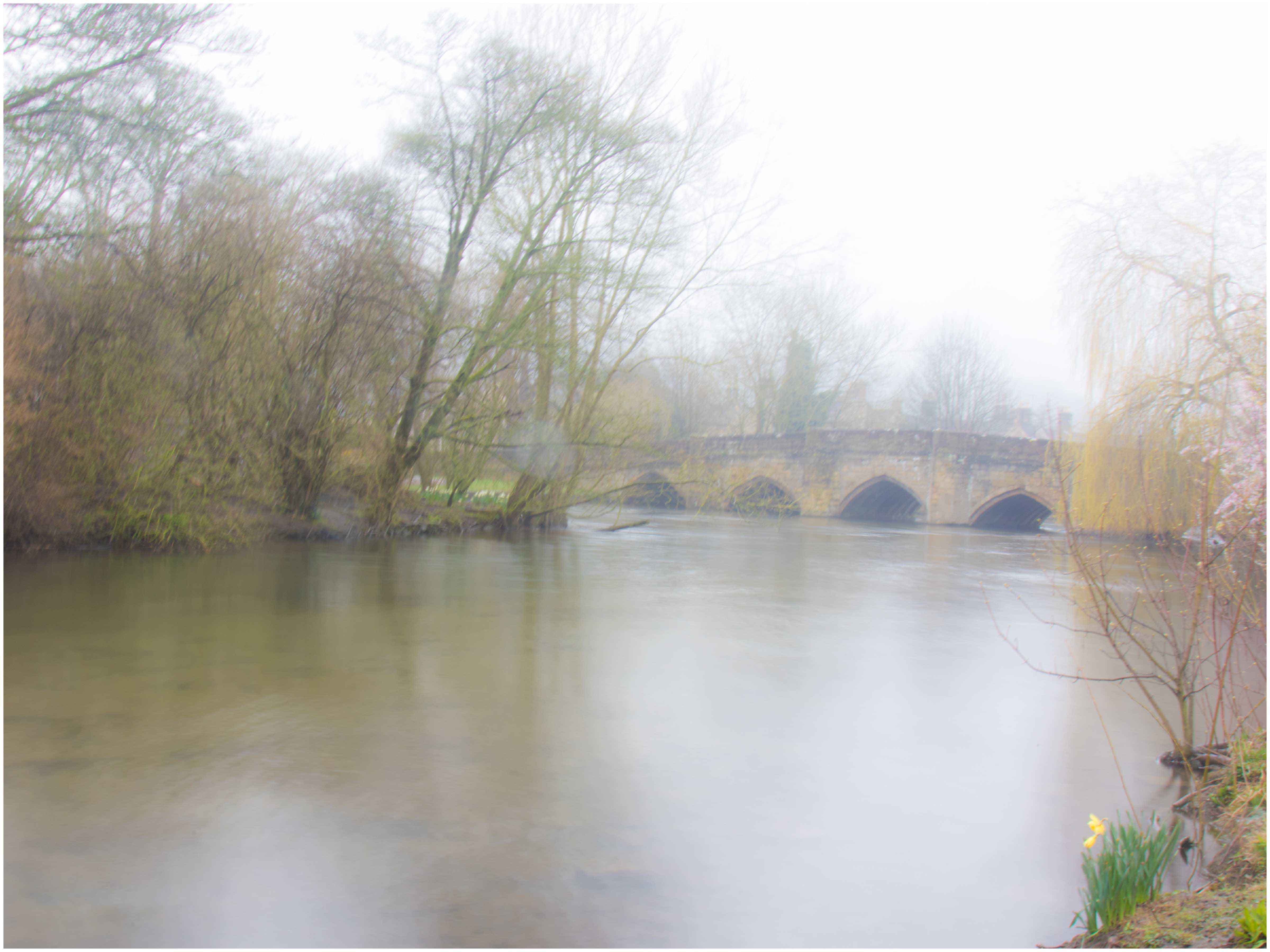 Spring on the River Wye.jpg