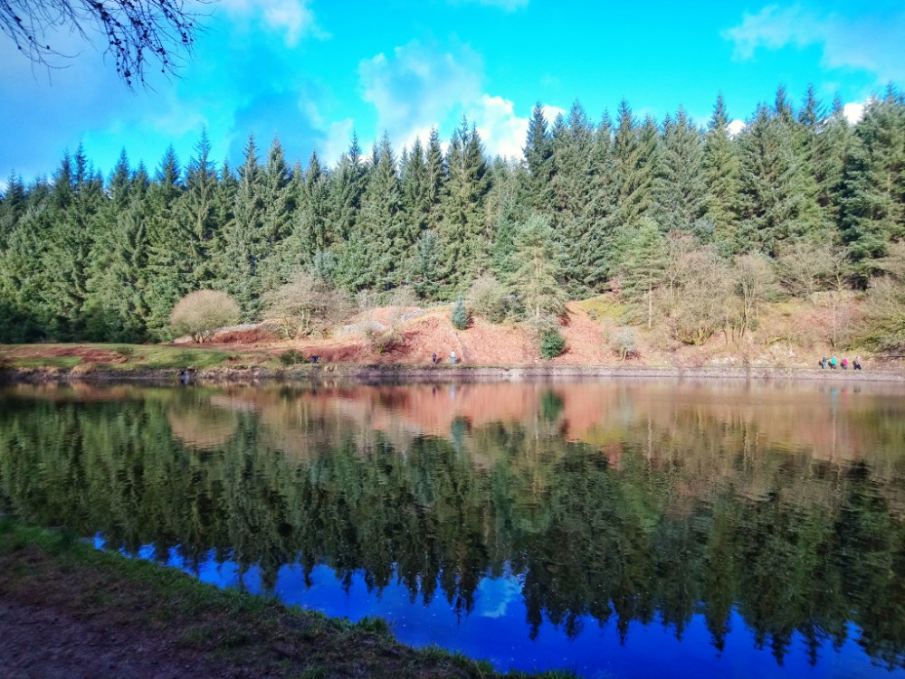 PicsArt_02-10-05.07.30.jpg