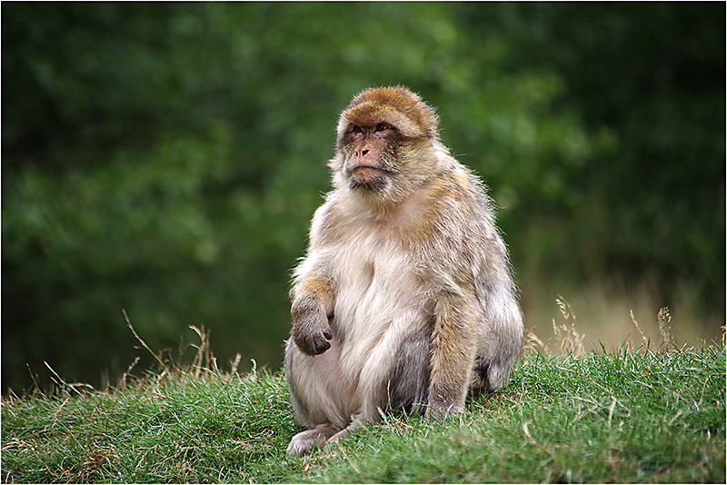 035 At Peace with the World.jpg