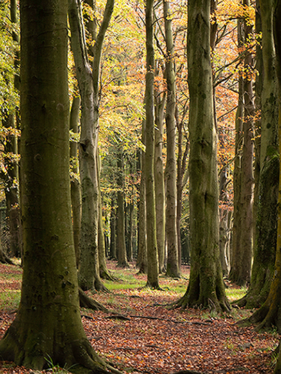 Rivington walk.jpg