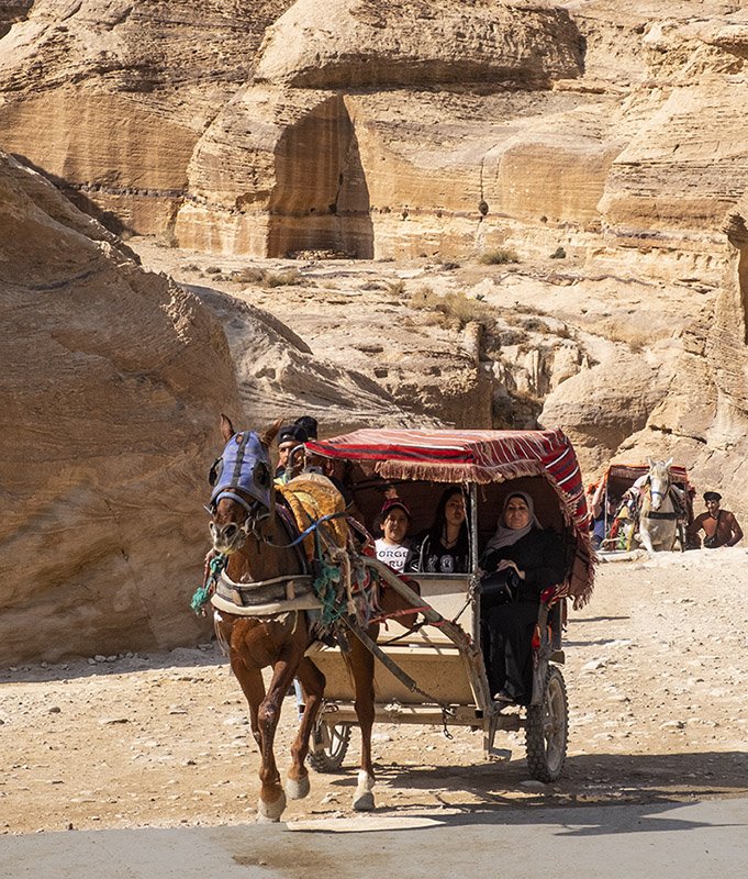 horse and cart petra.jpg