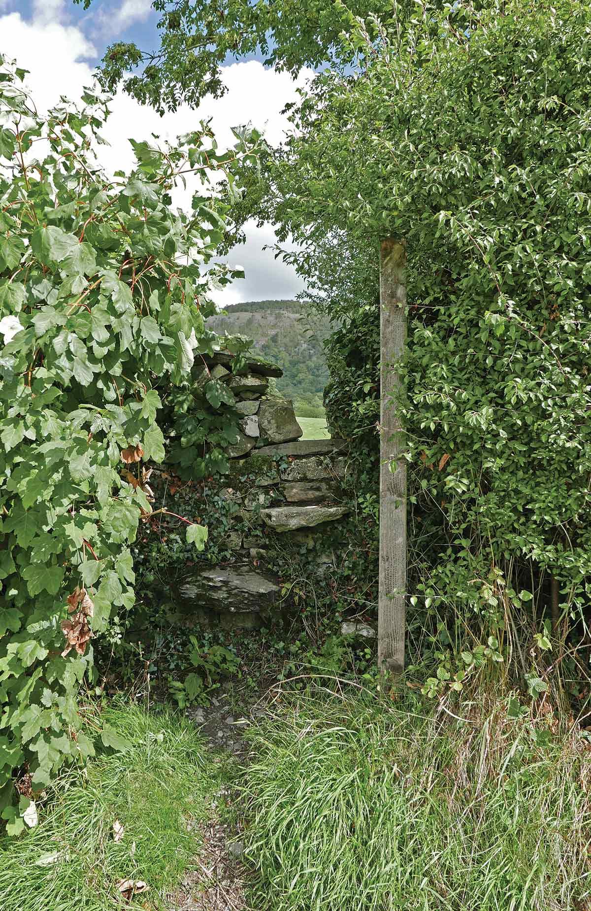 Hidden Stile