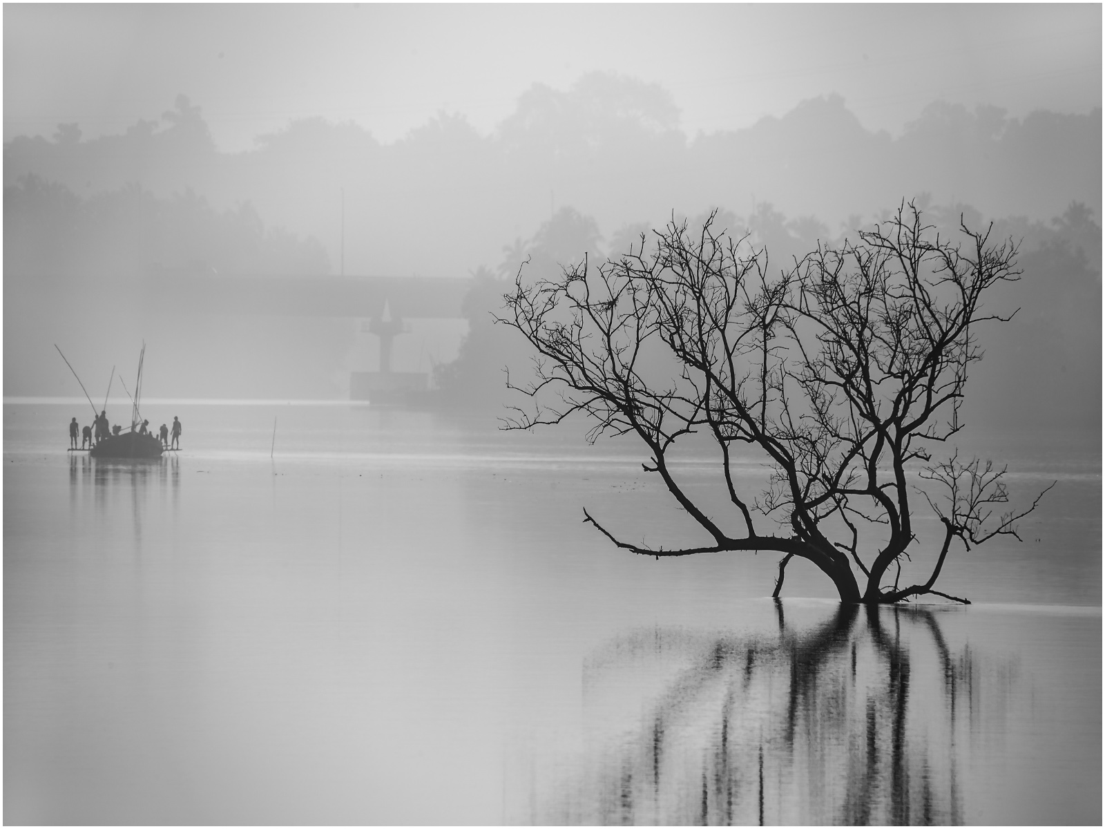 3 Morning Mist on the Mandovi.jpg