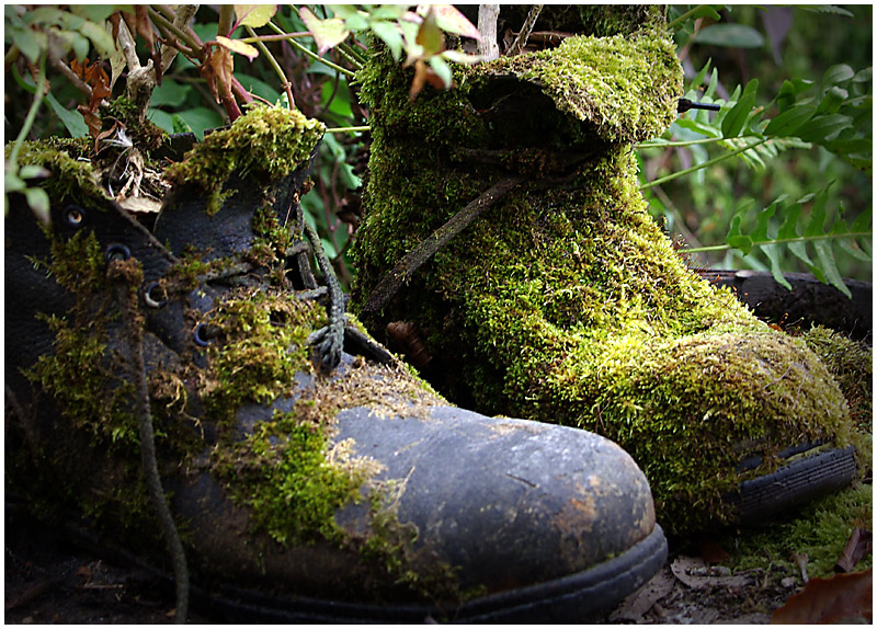 033-Best-Boots.jpg