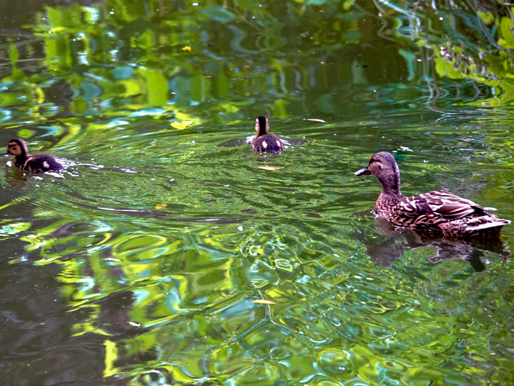 Family outing.