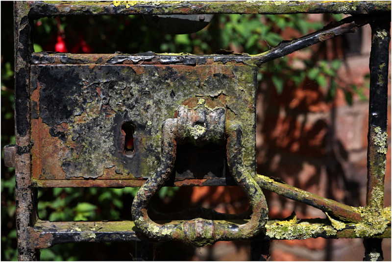 030 Beauty in Decay.JPG