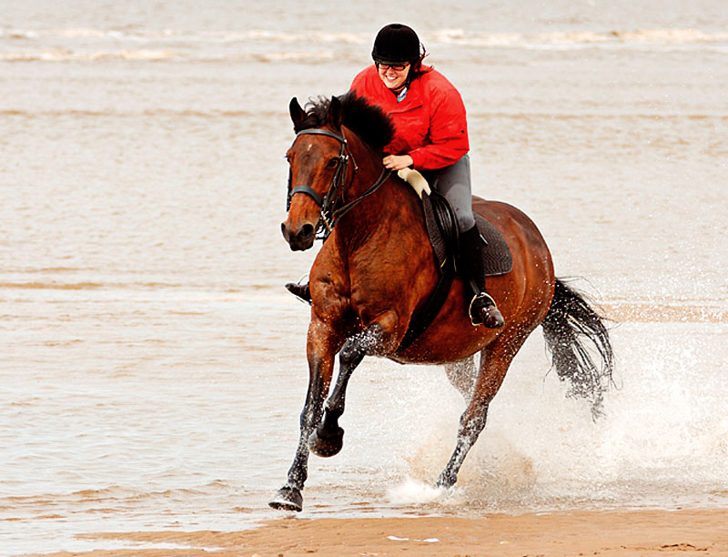 beachride.jpg