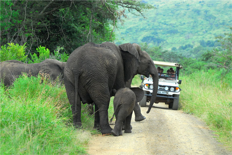 IS THIS A TRUNK ROAD.jpg