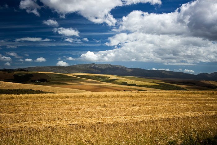 On-the-Road---Fields-&-Sky.jpg