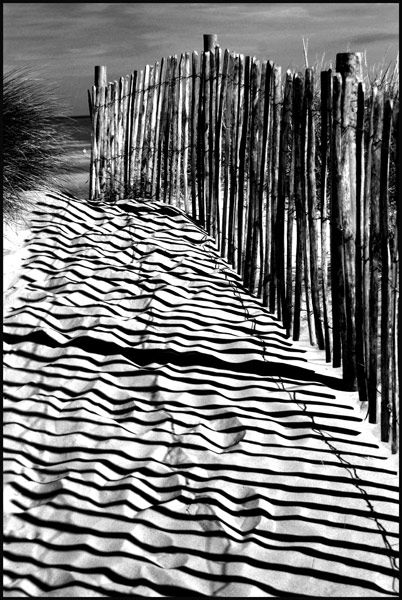 Sand-Shadows.jpg