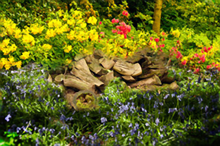 Sring COLOURS