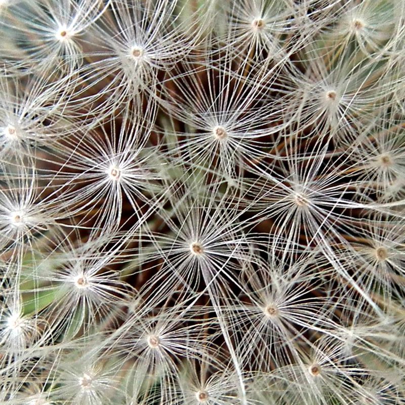 DSCF3141 modified cropped.jpg